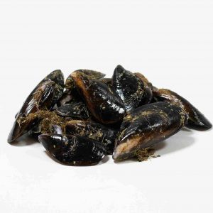 mejillones gallegos