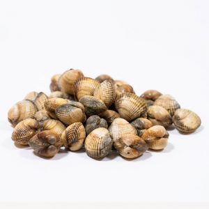 berberechos gallegos