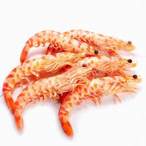 langostino tigre