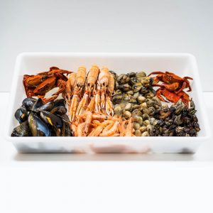 mariscada-marina
