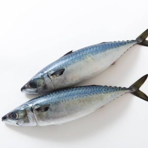 caballa-gallega