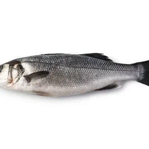 lubina-gallega
