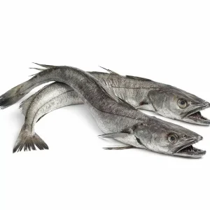 merluza-galicia